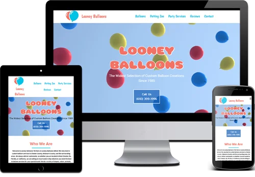 Responsive Website Design Balloons Aston, Delaware County, PA
